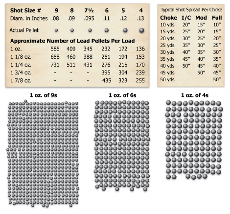Chart of pellet sizes of shotgun shells.